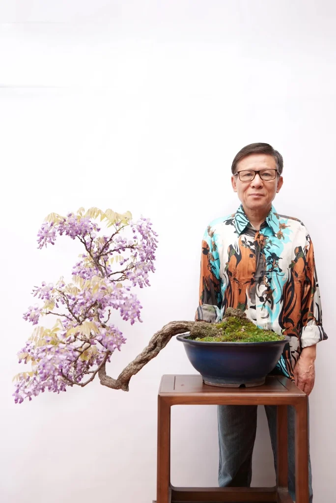 网上看到的一棵紫藤盆景，发出来供学习参考-贰捌植场