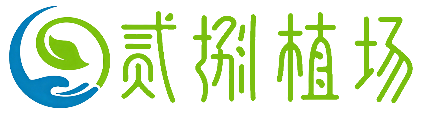 贰捌植场-万物向阳•植愈日常！