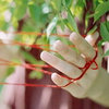 静默小宇宙的头像-贰捌植场